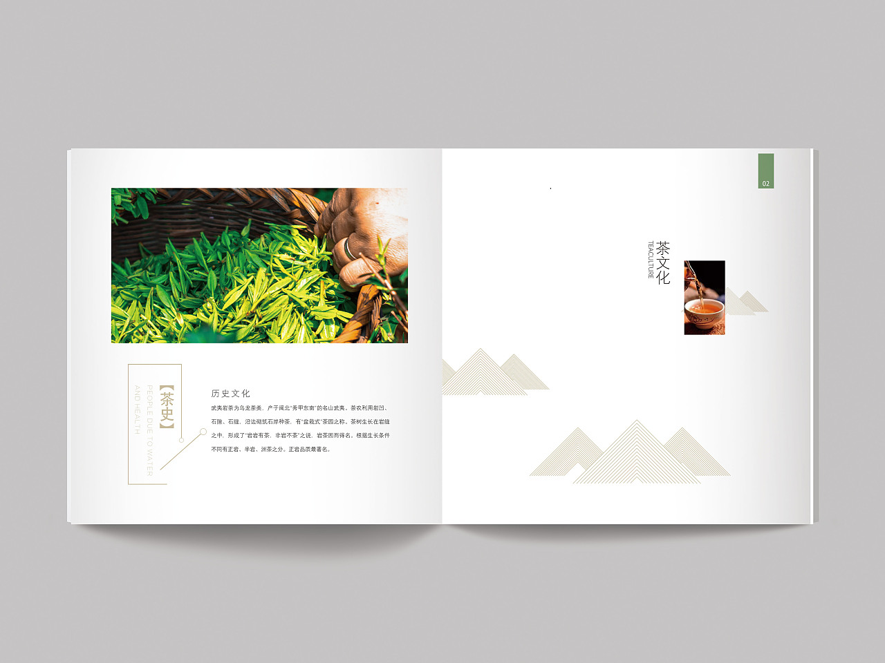 武夷山茶产品宣传册设计,宣传册设计模板,产品宣传册设计哪家好